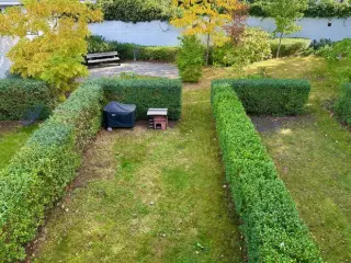 Maison à vendre Anvers (RBU33137)