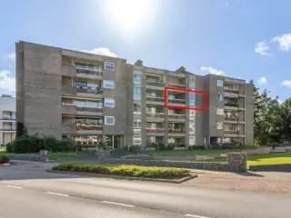 Appartement te koop Maaseik (RBU33294)