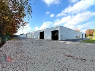 Industrie te huur Hasselt (RBU34338)