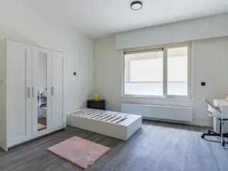 Kot à vendre Gand (RBU34511)