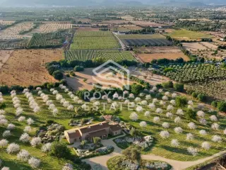 Residence for sale Binissalem (RBU34689)