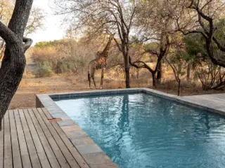 Huis te koop Hoedspruit (RBU34853)