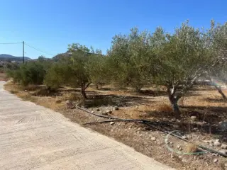 Residence for sale Pitsidia (RBU34965)