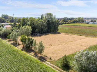 Terrain agricole à vendre Maldegem (RBU34991)
