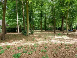 Terrain agricole à vendre Essen (RBU35390)