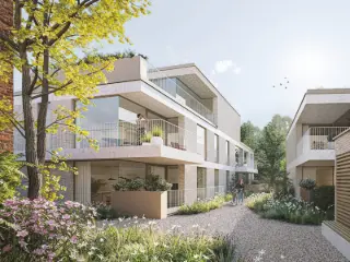 Appartement te koop Maaseik (RBU35989)