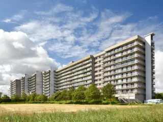 Studio for rent Duinbergen (RBU36290)