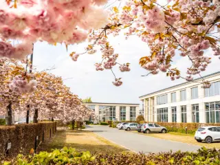 Kantoor te huur Zaventem (RBU36337)