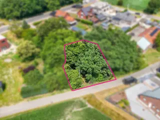 Land for sale Hechtel (RBU36837)