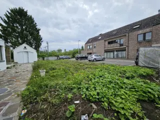 Grond te koop Denderleeuw (RBU37440)