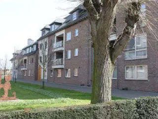 Appartement à louer Liezele (RBU37459)