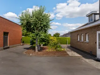 Handelspand te koop Anzegem (RBU38477)