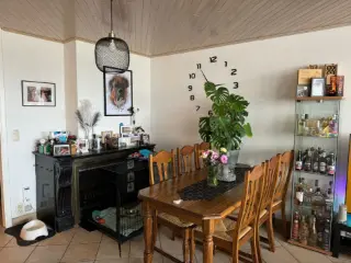 Appartement à louer Sint-Niklaas (RBU38585)