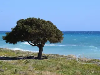 Residence for sale Dermatos (RBU39496)