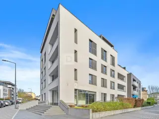 Commercial building for rent Luxembourg (RBU39689)