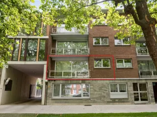 Appartement à vendre Deurne (RBU40067)