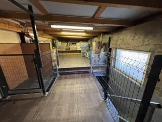 Industrial building for rent Luxembourg (RBU40685)