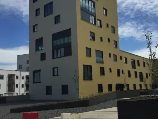 Kantoor te huur Belvaux (RBU40820)