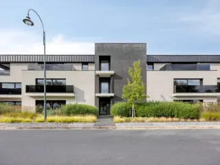 Penthouse à louer Balen (RBU40972)