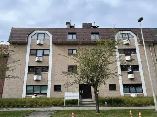 Apartment for sale Boom (RBU41074)