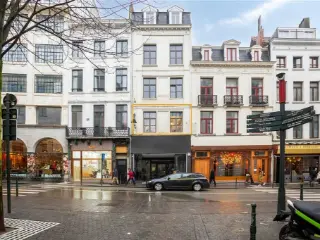 Appartement à vendre Bruxelles (RBU41085)