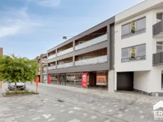 Handelspand te koop Lommel (RBU41319)