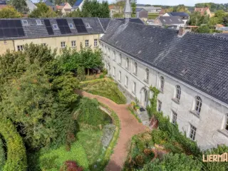 Handelspand te koop Bever (RBU41477)