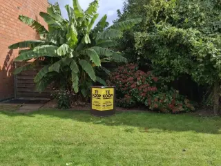 Bouwgrond te koop Turnhout (RBU41502)