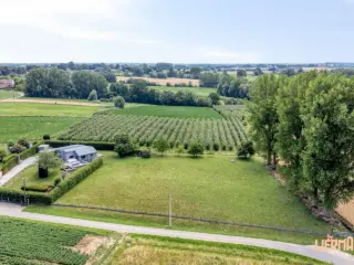 Maison à vendre Sint-Pieters-Kapelle (RBU41840)