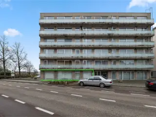 Surface commerciale à vendre Saint-Trond (RBU41884)