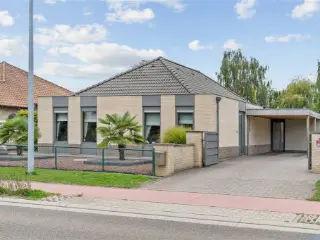 Maison à vendre Olmen (RBU42467)