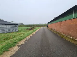 Industrial building for rent Merksplas (RBU43514)