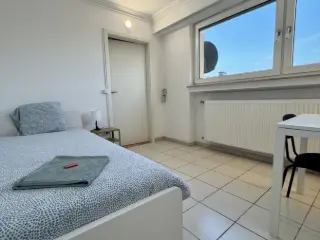 Apartment for rent Hesperange (RBU45501)