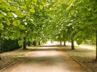 Residence for sale Flobecq (RBU45619)