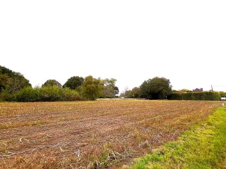 Terrain à bâtir à vendre Geel (RBU47175)