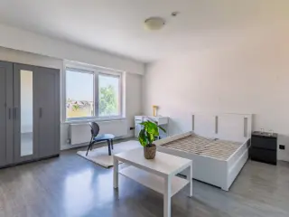 Kot te huur Gent (RBU47231)