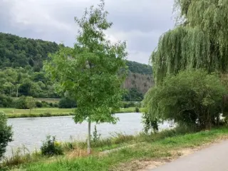 Land for sale Wasserbillig (RBU47284)