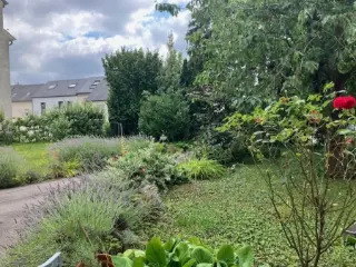 Appartement te huur Strassen (RBU47317)