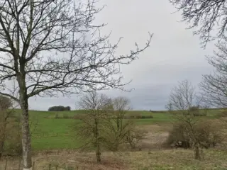 Land for sale Weiswampach (RBU47499)