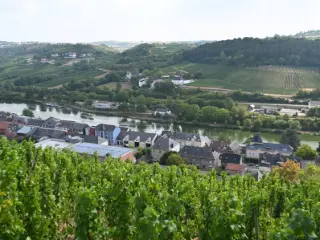 Grond te koop Wormeldange-Haut (RBU47509)