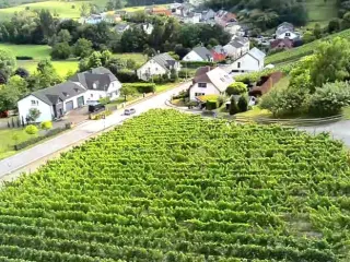 Terrain agricole à vendre Niederdonven (RBU47609)