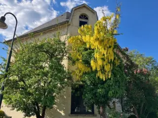 Huis te koop Helmdange (RBU47716)