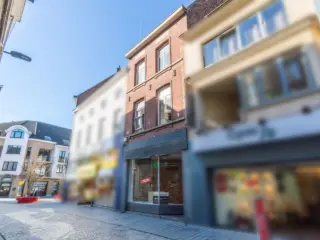 Opbrengsteigendom te koop Halle (RBU48375)