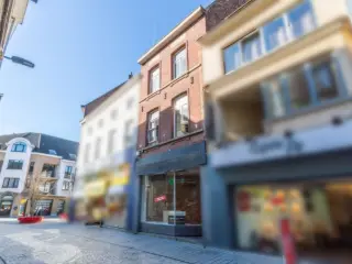 Opbrengsteigendom te koop Halle (RBU48376)