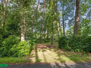 Terrain à vendre Zoersel (RBU48419)