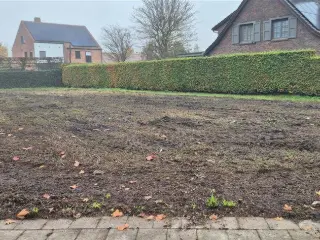 Terrain à vendre Kalmthout (RBU48975)