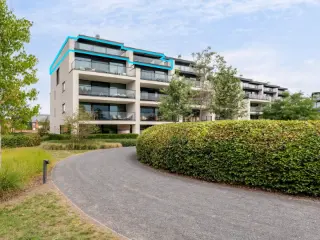 Penthouse à vendre Putte (RBU49333)