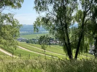 Terrain à vendre Schengen (RBU49338)