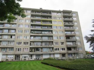 Apartment for rent Landen (RBU49463)