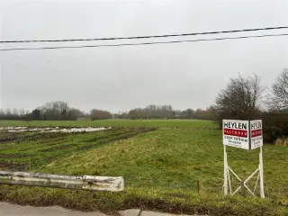 Land for sale Duffel (RBU49629)